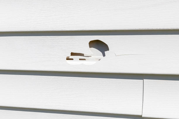 Best Demolition Debris Removal  in East Moriches, NY